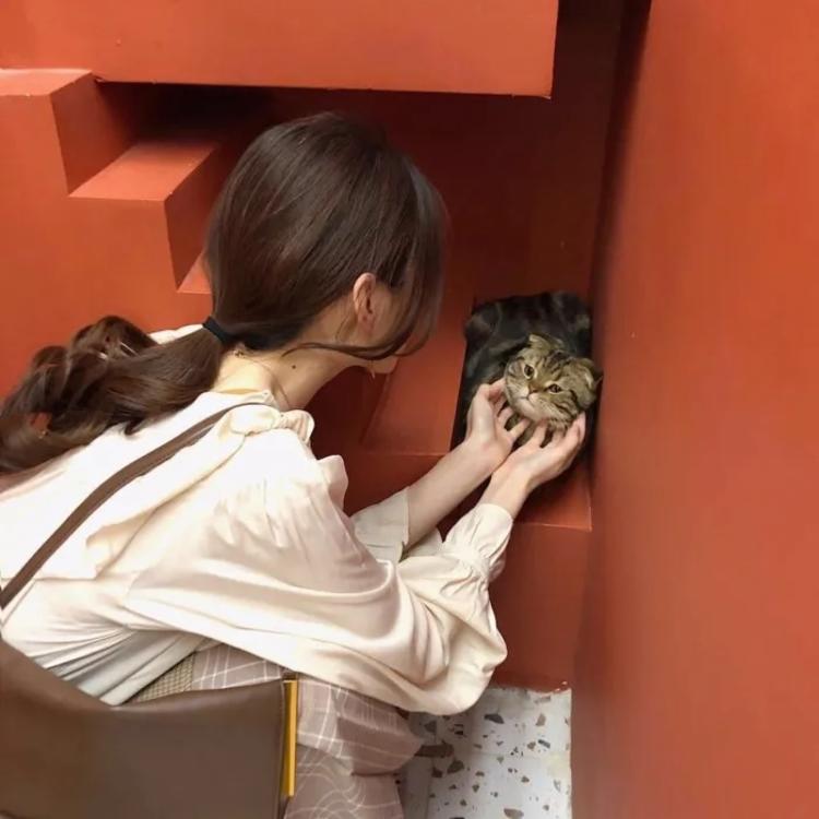鹈堂刃卫（身份：假冒“拔刀斋”的保镖、武田观柳手下） - 魔鬼恋人第三季免费全集播放23 - 客户端观看